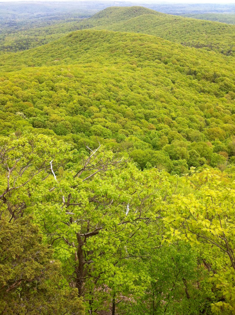 View from Mt. Norwottuck