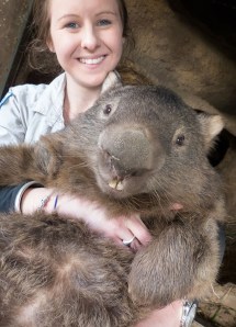 Patrick the giant Wombat