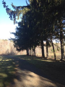 My happy running place