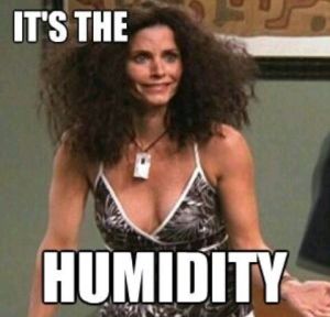 Anyone else feeling like this lately?